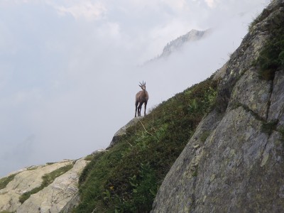 ho fatto tutto il giro e vi ritrovo ancora li?