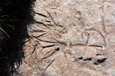 2011-09-17 - Fossile presso Capanne Lago Scuro ancora più da vicino.JPG