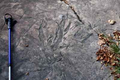 2011-09-17 - Fossile scendendo ai Lagoni con vicino bastoncino.jpg