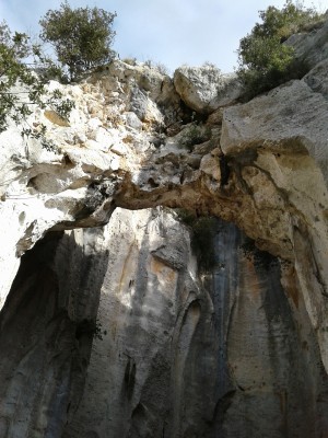 Grotta dell'Edera