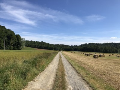 Strada bianca