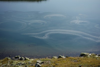 155 - Cerchi di ghiaccio in Lac Inferieur de la Madeleine.JPG