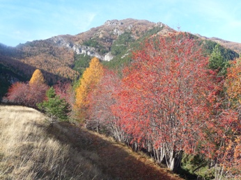 da Gauron con i colori autunnali è ben visibile parte del percorso di salita: a sinistra il pas de la tranchée e la cresta fino sotto alle ultime rocce che vanno aggirate a sinistra; la cima è ancora dietro !!