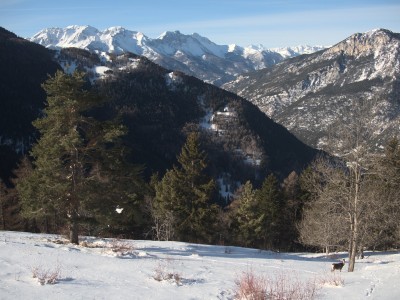 Paesaggio con cerva