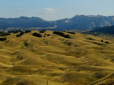 mare d'erba