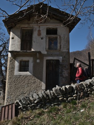 Casa del violino + muro anticapra