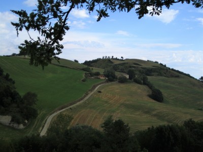 Panorama collinare romagnolo