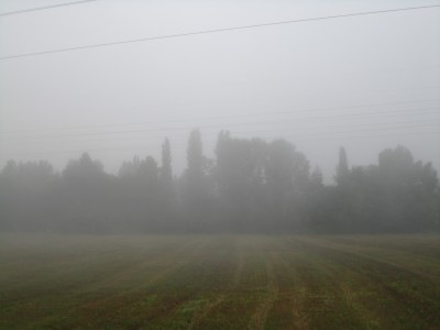 nebbiolina autunnale