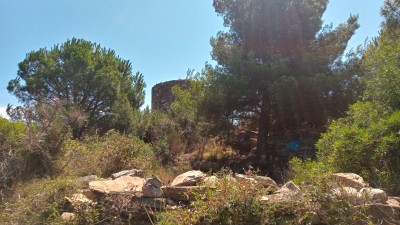 si allora per andare dalla tomba bisogna passare dal cancello di legno, infatti mi chiedevo a cosa servisse un cancello nel nulla. si intravede la lapide dipinta di blu che aveva fotografato daniele