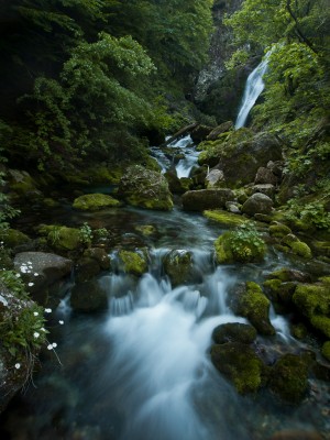 Cascata del Pesio al gias Fontana