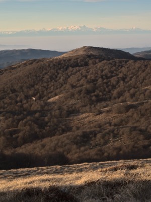 Monte Rosa