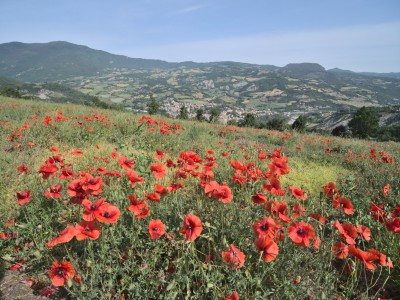 Val Trebbia