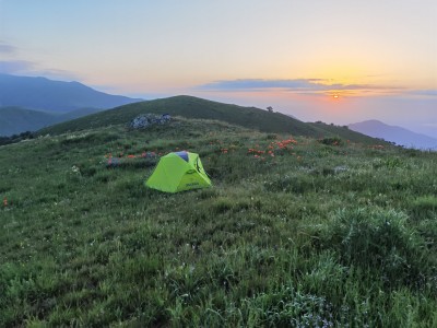 ma sono mille papaveri rossi...terzo accampamento