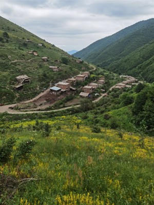 Shishkert: prima forma di civiltà dopo tre giorni di cammino