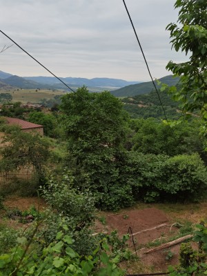 La vista dalla veranda di Werner