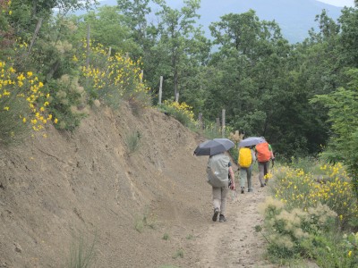 Strada della Squera