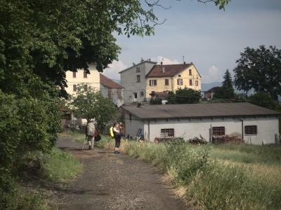 Cogno di Grezzo