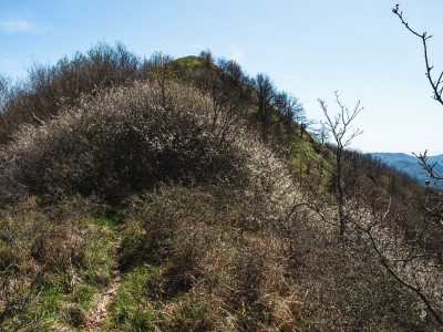 Monte Spina, ovviamente