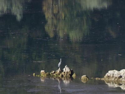 &quot;local&quot; a pesca