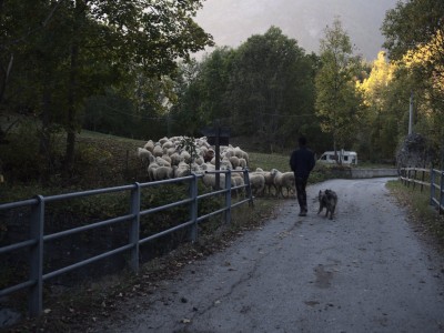 Il pastore del Biamondo