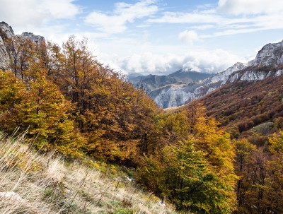 Spettacolari colori autunnali