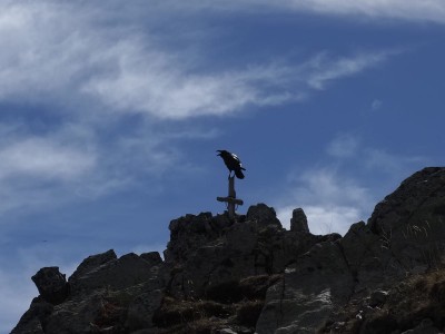 La cima con il suo guardiano