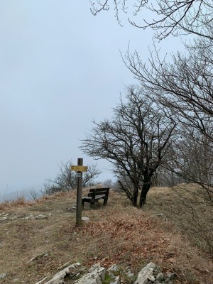 Passo dei Colletti