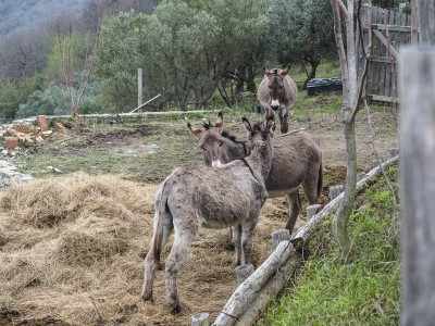 Simpaticoni alla Cappella dei Cacciatori