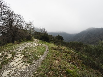 Lassù da qualche parte ci deve essere il Forte Ratti