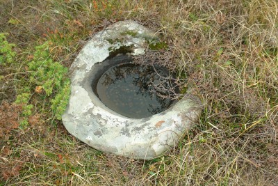 178 - Acquasantiera a Sella di Rocca Pianaccia.JPG