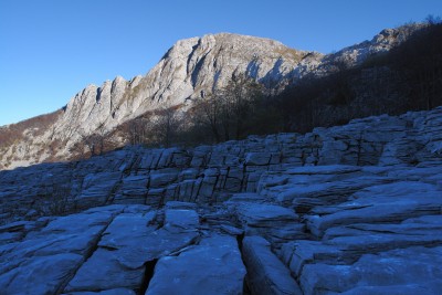 099 - Radura a blocchi calcarei e Pania Secca sullo sfondo in Vetricia.jpg