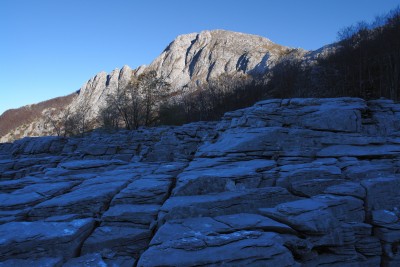 100 - Radura a blocchi calcarei e Pania Secca sullo sfondo in Vetricia piÃ¹ da vicino.jpg