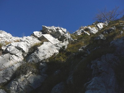 Le roccette del primo tiro