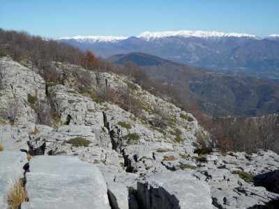 la Vetricia e l'Appennino