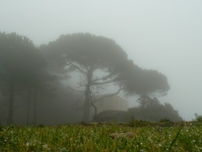 Semaforo nuovo tra la nebbia