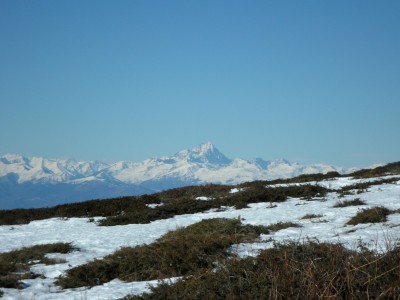 appare il monviso