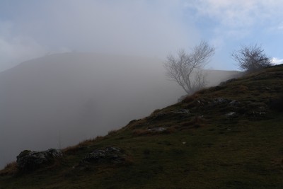 15 - Alberi su crinale e anticima Pizzo d'Evigno nella nebbia.JPG