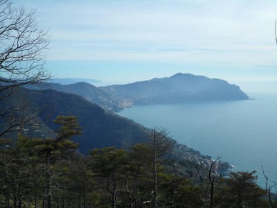 il monte di portofino