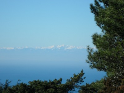 finalmente un po' di panorama sulle liguri