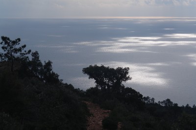 075 - Sentiero albero e chiazze di luce sul mare salendo al Sentier Balcon.JPG