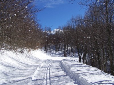 un tratto della pista (altrove era più stretta)