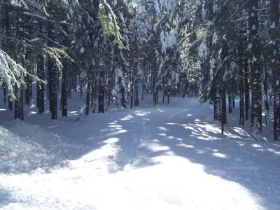 andando verso il passo dell'Incisa