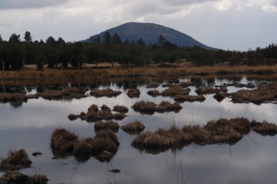 46 - Lago Bargone con Monte Zenone sullo sfondo piÃ¹ da vicino.JPG