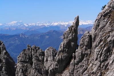 82 - Guglia inclinata con Alpi sullo sfondo da sentiero Cecilia.jpg