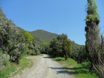 poco prima dell'agriturismo con il monte pu