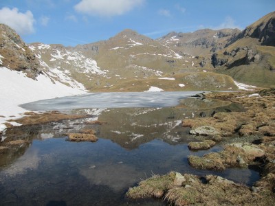 Arrivo al Lago Battaglia. Ghiaccio e avannotti