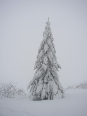 Paesaggio invernale