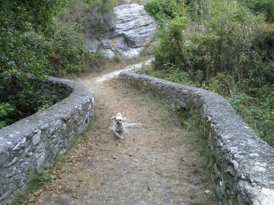 Tom che corre sul ponte dei bassi