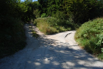 Vicino alla Baita si segue il segnavia dell'AVML