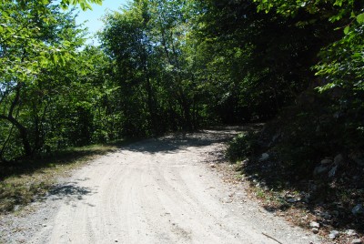 In poche centinaia di metri si passa dalla faggeta alpina al bosco misto tipico dell'entroterra mediterraneo